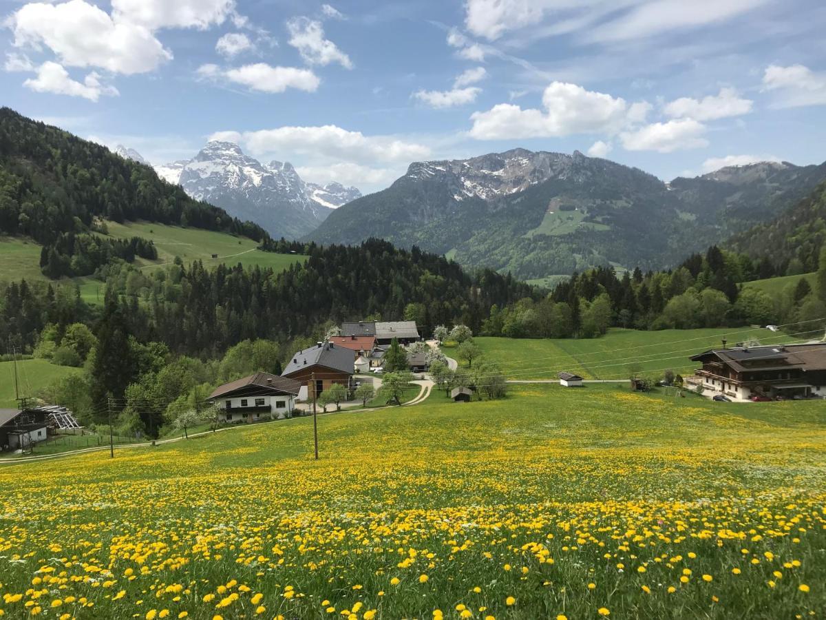 Apartmán Haus Bergsicht *